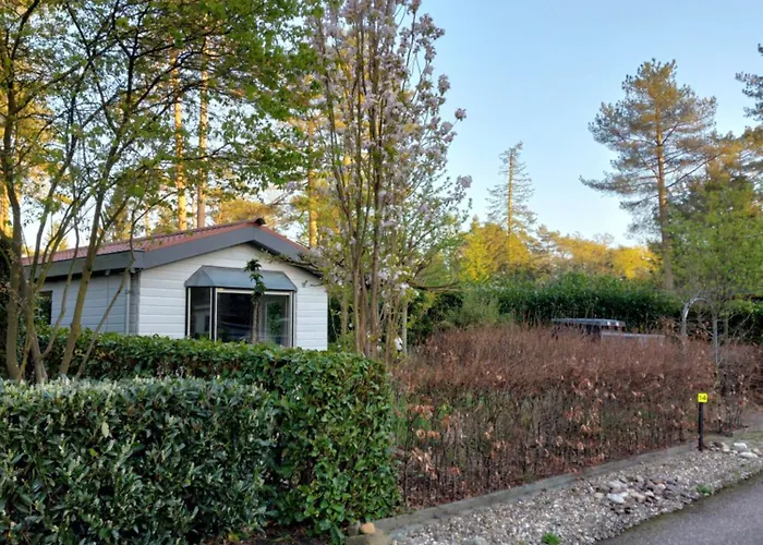 Vakantie Chalet Utrechtse Heuvelrug