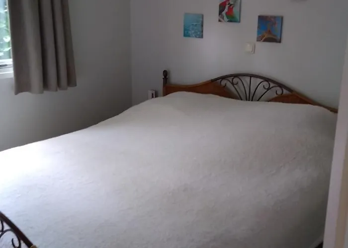 Vakantie Chalet Utrechtse Heuvelrug